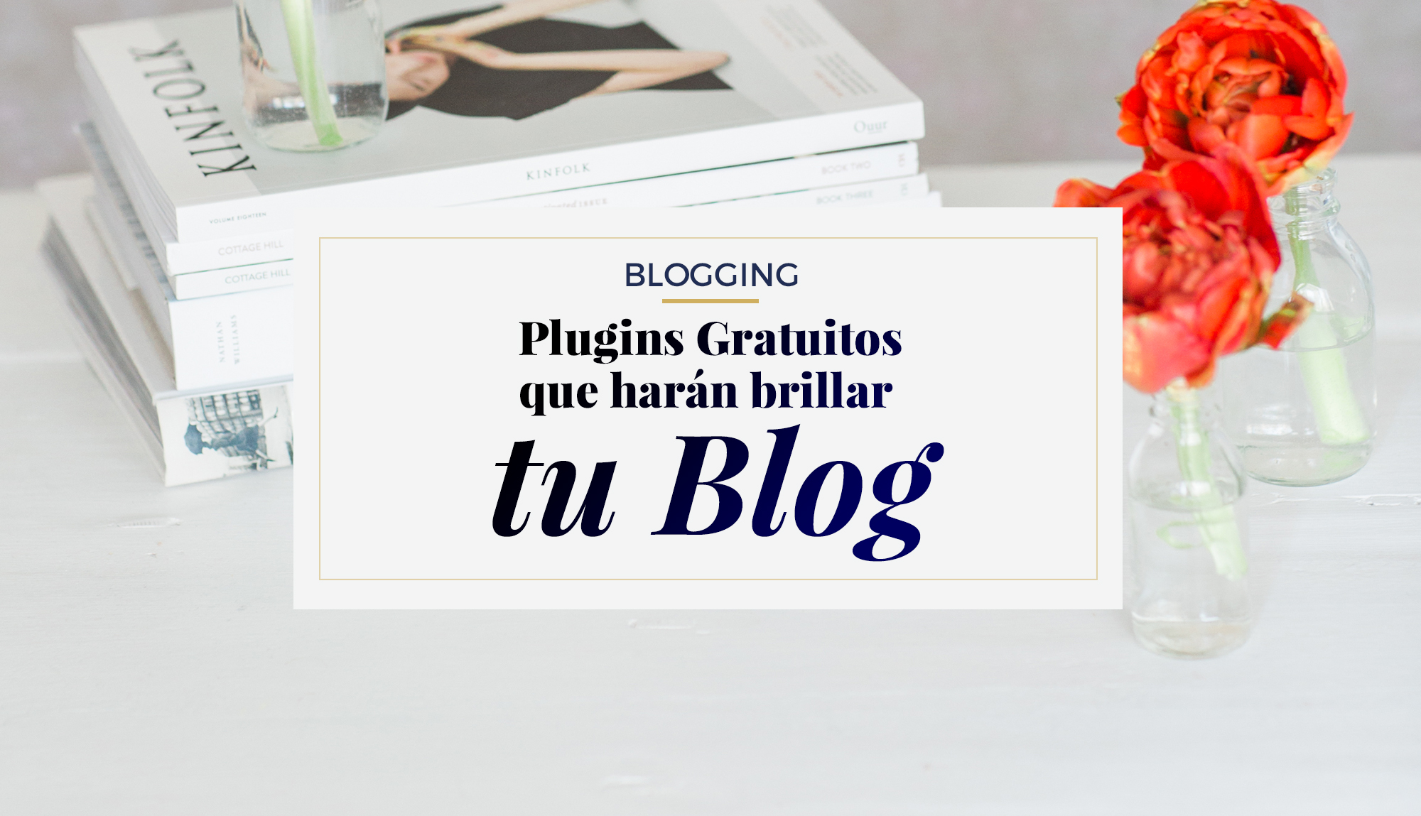 Plugins-Gratuitos-que-harán-brillar-tu-blog