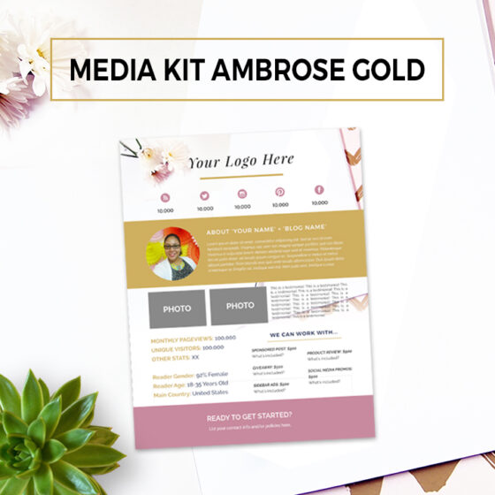 MEDIA KIT PARA BLOGGERS