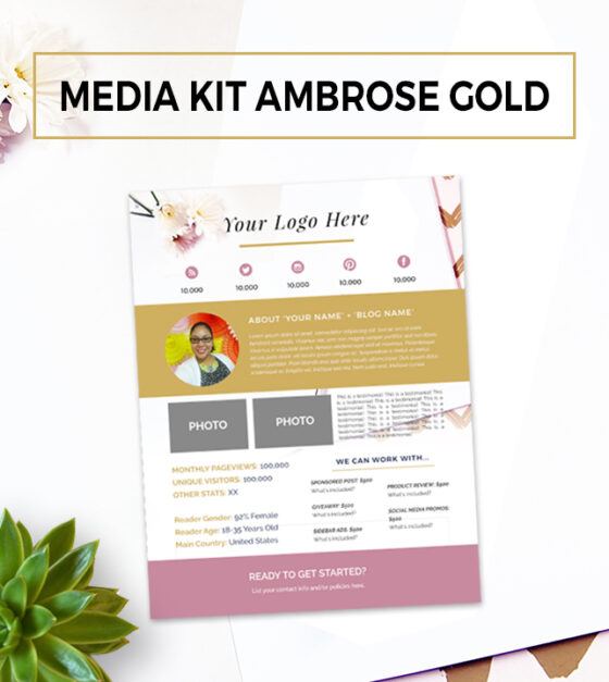 MEDIA KIT PARA BLOGGERS